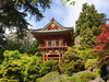 Japanese Tea Garden Japanese Tea Garden