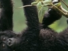Sitatunga Safaris and Travel Ltd