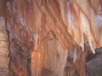 Jenolan Caves