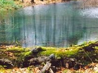 Kamień nad Jaśliskami Nature Reserve