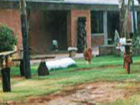 Kanoria Center for Arts