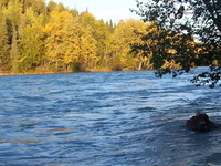 Kasilof River Kasilof River