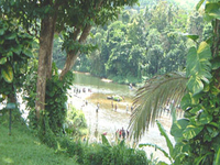 Kelani River