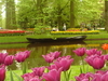 Keukenhof Gardens Keukenhof Gardens
