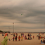 Kites Flying At Allepy Beach