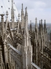 Koelner Dom Blick Nach Osten
