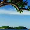 Koh Larn - Pattaya's Island Paradise