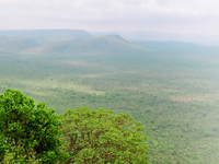 Krishna Wild Life Sanctuary, Avanigadda