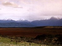 Kepler Mire
