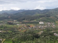 Ketti Ketti