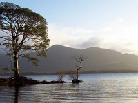 Lakes of Killarney Lakes of Killarney