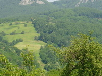 Kozara Kozara