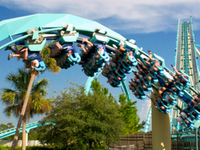 Kraken Roller Coaster