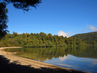 Lake Rotopounamu Track