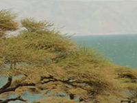 Lake Turkana Lake Turkana