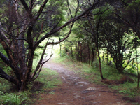 Lake Waikareiti Walk