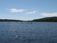 Lake Winchester