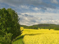 Landscape Park Góry Opawskie Landscape Park Góry Opawskie