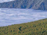 La Orotava