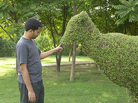 Leisure Valley Park