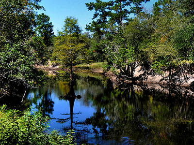 Escape to the Satilla River: Georgia's Hidden Gem for Outdoor Adventures