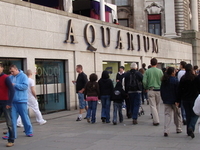 Sea Life London Aquarium Sea Life London Aquarium