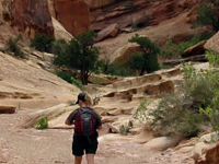 Lower Muley Twist Canyon Hike