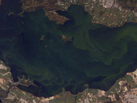 Lake Valencia Lake Valencia