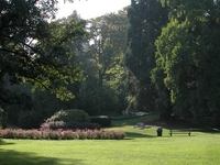 Leschi Park Leschi Park