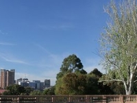 Montefiore Hill Montefiore Hill