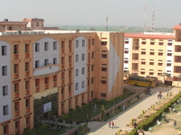 Lingaya's University