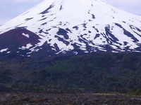 Llaima Llaima