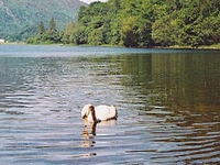 Loch Achray