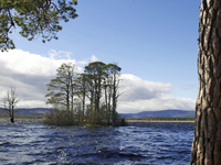 Loch Garten