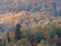 Loughrigg Fell