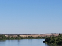 Murray River