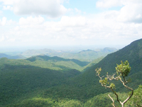 Gudalur