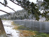 Madison River Madison River