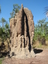 Magnetic Termite Mound