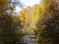 Mancos River