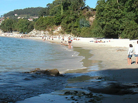 marin marin