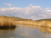Aliaga Aliaga