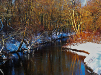Matfield River