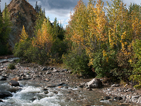 McKinley Station Trail