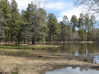 Meadow Trail Meadow Trail
