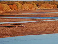 Mesilla Valley Bosque State Park Mesilla Valley Bosque State Park