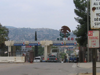 Tecate