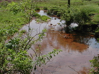 Middlebush Brook