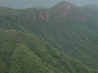 Tigray Tigray
