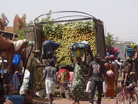 Mopti Mopti
